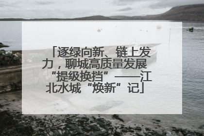 逐绿向新、链上发力，聊城高质量发展“提级换挡”——江北水城“焕新”记