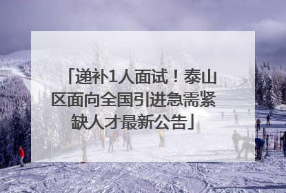 递补1人面试！泰山区面向全国引进急需紧缺人才最新公告