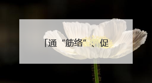 通“筋络”、促消费、优营商……山西临汾详解五大专项行动方案
