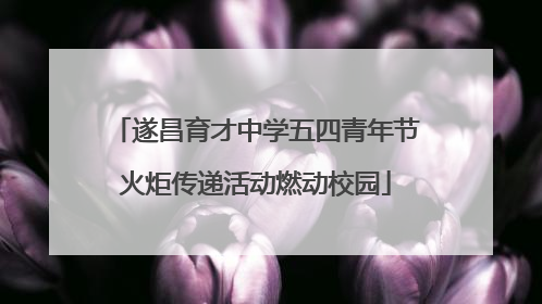 遂昌育才中学五四青年节火炬传递活动燃动校园