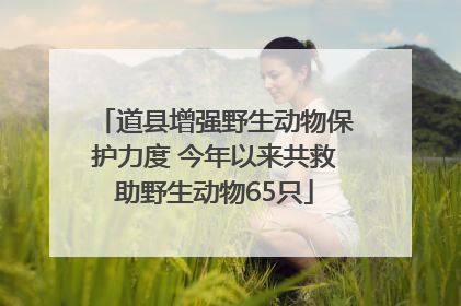 道县增强野生动物保护力度 今年以来共救助野生动物65只