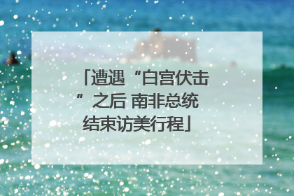 遭遇“白宫伏击”之后 南非总统结束访美行程