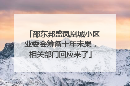 邵东邦盛凤凰城小区业委会筹备十年未果，相关部门回应来了