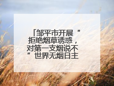 邹平市开展“拒绝烟草诱惑，对第一支烟说不”世界无烟日主题宣传活动