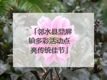 邻水县鼎屏镇多彩活动点亮传统佳节
