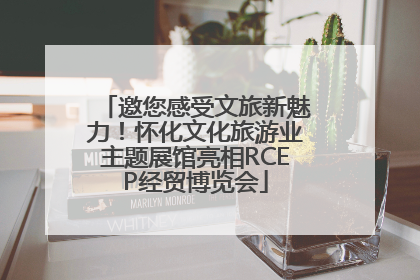 邀您感受文旅新魅力！怀化文化旅游业主题展馆亮相RCEP经贸博览会