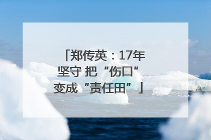 郑传英：17年坚守 把“伤口”变成“责任田”
