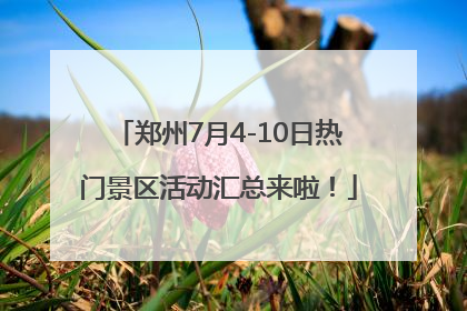 郑州7月4-10日热门景区活动汇总来啦！