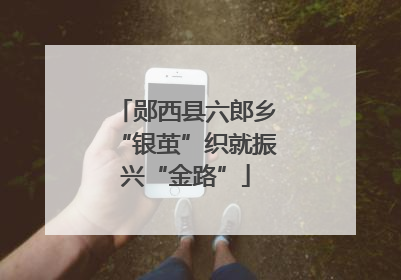 郧西县六郎乡“银茧”织就振兴“金路”