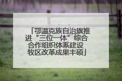 鄂温克族自治旗推进“三位一体”综合合作组织体系建设 牧区改革成果丰硕