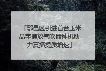 鄠邑区引进首台玉米品字摆放气吹播种机助力夏播提质增速