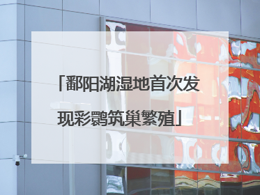 鄱阳湖湿地首次发现彩鹮筑巢繁殖