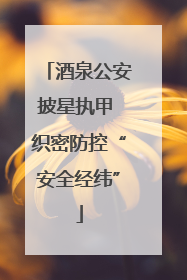 酒泉公安披星执甲 织密防控“安全经纬”