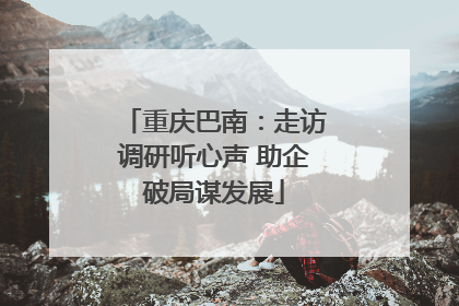 重庆巴南：走访调研听心声 助企破局谋发展