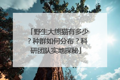野生大熊猫有多少？种群如何分布？科研团队实地探秘