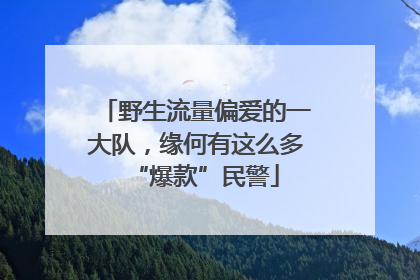 野生流量偏爱的一大队，缘何有这么多“爆款”民警