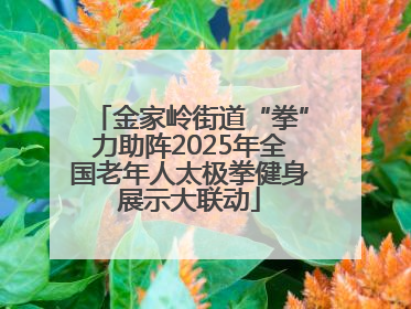 金家岭街道“拳”力助阵2025年全国老年人太极拳健身展示大联动