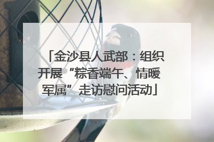 金沙县人武部：组织开展“粽香端午、情暖军属”走访慰问活动