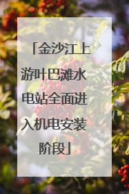 金沙江上游叶巴滩水电站全面进入机电安装阶段