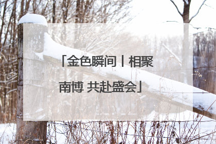金色瞬间丨相聚南博 共赴盛会