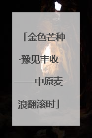 金色芒种·豫见丰收——中原麦浪翻滚时