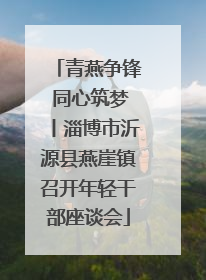 青燕争锋 同心筑梦丨淄博市沂源县燕崖镇召开年轻干部座谈会