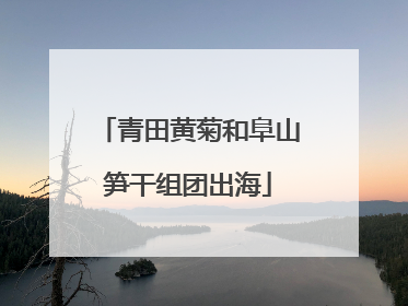 青田黄菊和阜山笋干组团出海