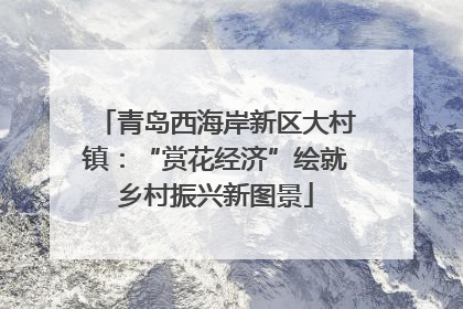 青岛西海岸新区大村镇：“赏花经济”绘就乡村振兴新图景