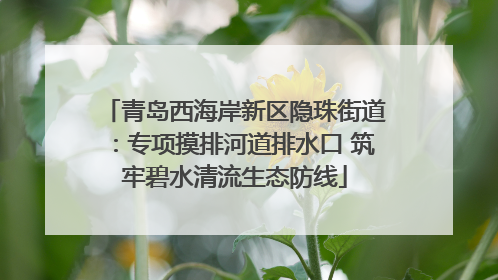 青岛西海岸新区隐珠街道：专项摸排河道排水口 筑牢碧水清流生态防线