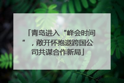 青岛进入“峰会时间”，敞开怀抱邀跨国公司共谋合作新局