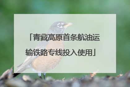 青藏高原首条航油运输铁路专线投入使用