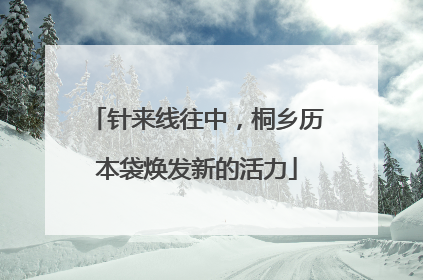 针来线往中，桐乡历本袋焕发新的活力