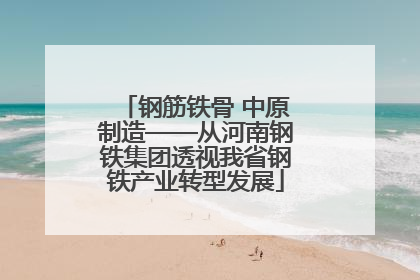 钢筋铁骨 中原制造——从河南钢铁集团透视我省钢铁产业转型发展