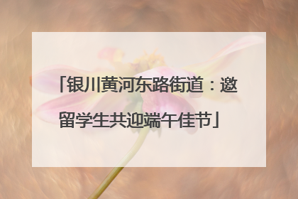 银川黄河东路街道：邀留学生共迎端午佳节