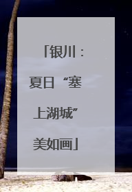 银川：夏日“塞上湖城”美如画