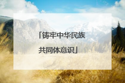 铸牢中华民族共同体意识