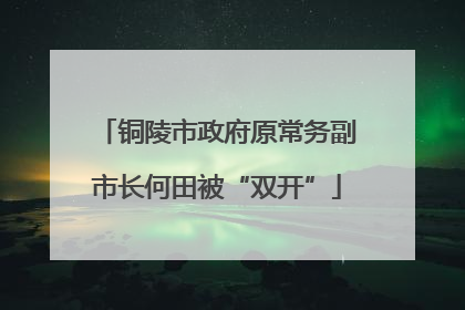铜陵市政府原常务副市长何田被“双开”