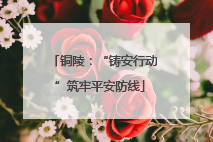 铜陵：“铸安行动”筑牢平安防线