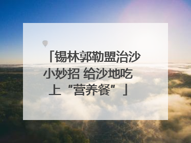 锡林郭勒盟治沙小妙招 给沙地吃上“营养餐”