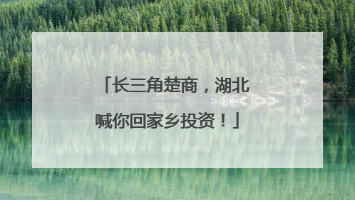 长三角楚商，湖北喊你回家乡投资！