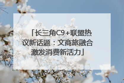长三角C9+联盟热议新话题：文商旅融合激发消费新活力