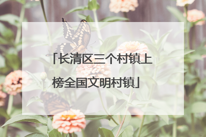 长清区三个村镇上榜全国文明村镇