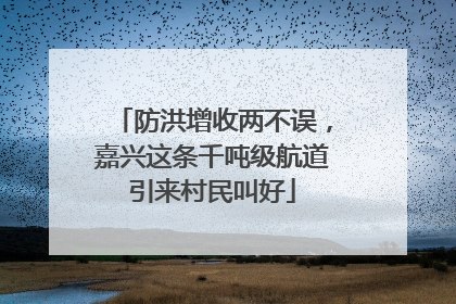 防洪增收两不误，嘉兴这条千吨级航道引来村民叫好