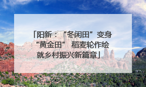 阳新：“冬闲田”变身“黄金田” 稻麦轮作绘就乡村振兴新篇章