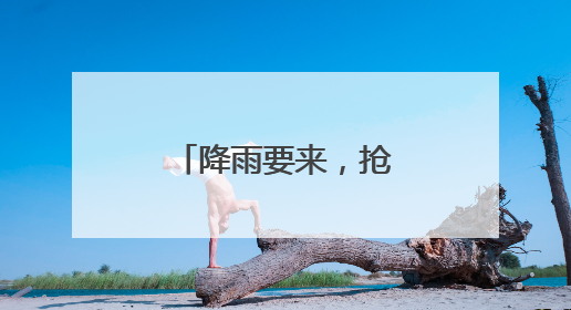 降雨要来，抢收小麦开启“倍速模式”