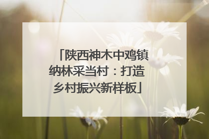 陕西神木中鸡镇纳林采当村：打造乡村振兴新样板