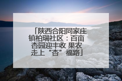 陕西合阳同家庄镇柏瑞社区：百亩杏园迎丰收 果农走上“杏”福路