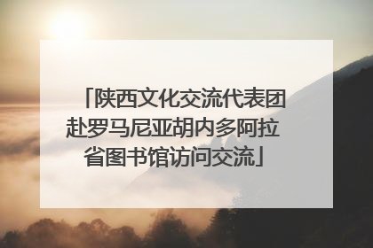 陕西文化交流代表团赴罗马尼亚胡内多阿拉省图书馆访问交流