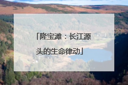 隆宝滩：长江源头的生命律动
