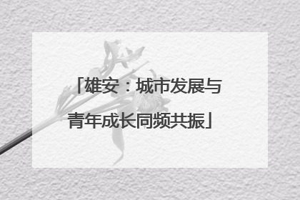雄安：城市发展与青年成长同频共振